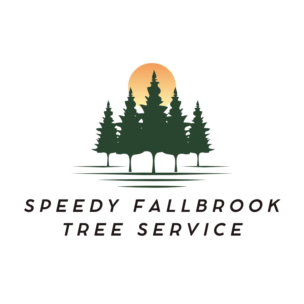 Speedy Fallbrook Tree Service